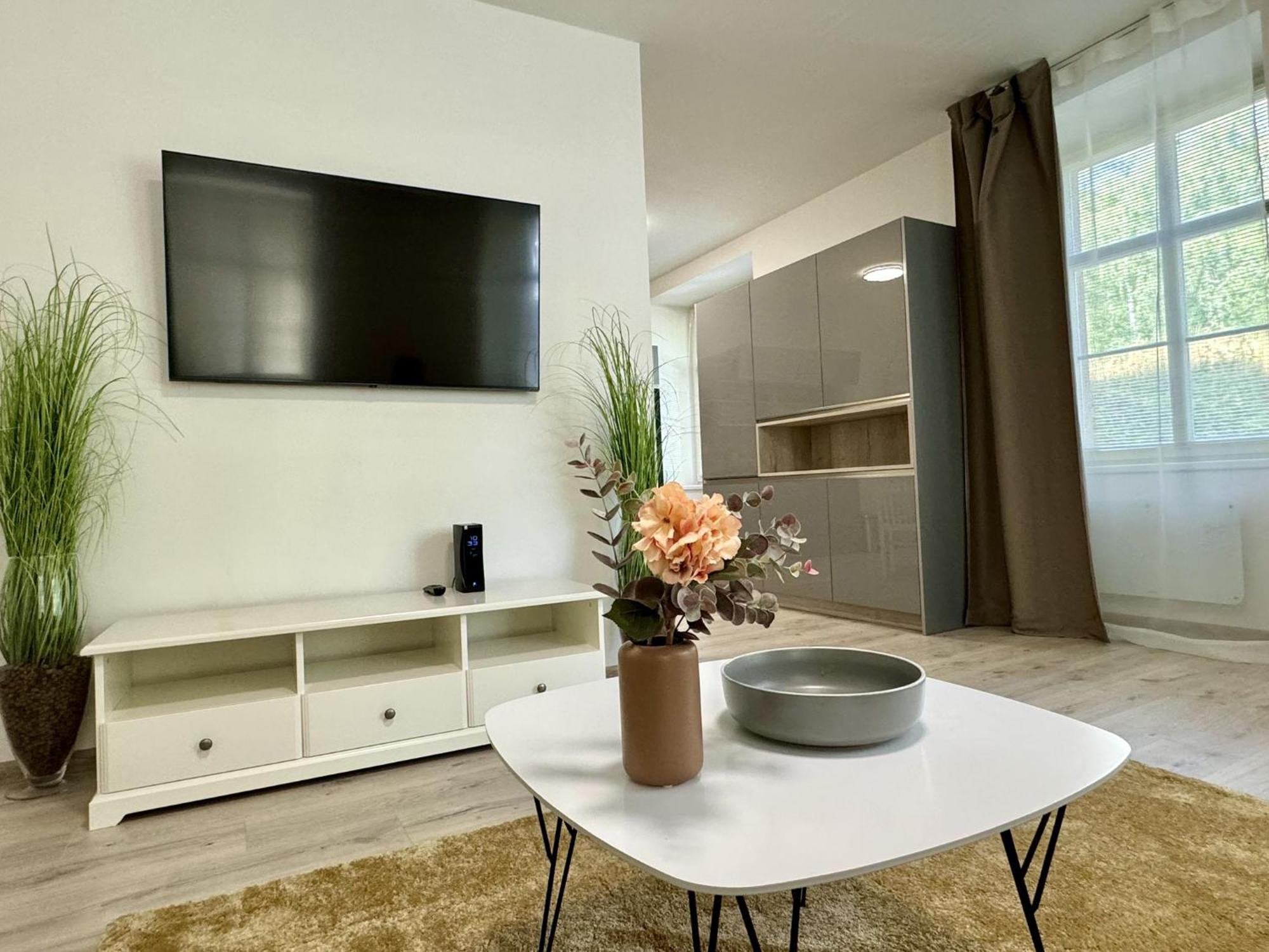 Rivercity Apartments كارلوفي فاري المظهر الخارجي الصورة